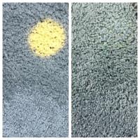 Ultra Brite Carpet & Tile Cleaning North Shore image 1